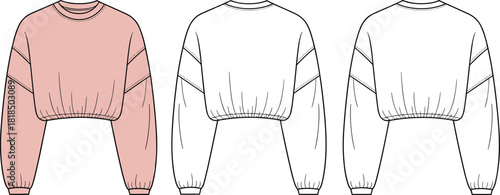 Cropped sweatshirt fashion flat with front and back views, long sleeve pullover design, garment template illustration for apparel design projects