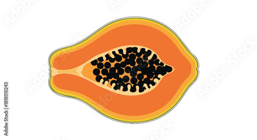 Vibrant Papaya Slice Illustrating Tropical Fruit Freshness and Natural Sweetness with Seed Details and Refreshing Color Palette