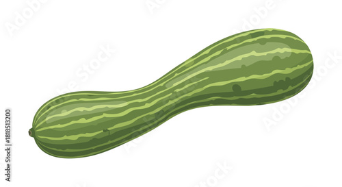 Illustration of a fresh green zucchini with striped patterns, showcased on a clean white backdrop for culinary or agricultural themes
