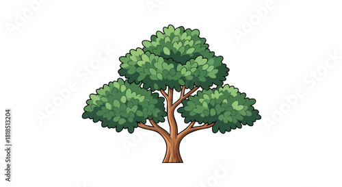Illustration depicting a stylized deciduous tree with rounded green foliage and a brown trunk against a white background