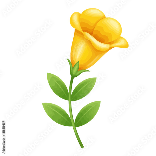 Vibrant yellow bellshaped flower with green leaves, a beautiful botanical illustration isolated on