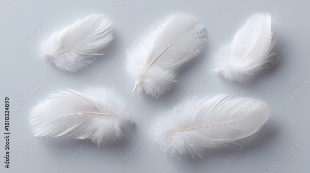 Obraz premium White feathers on white background