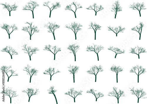 Leafless trees silhouettes on white background