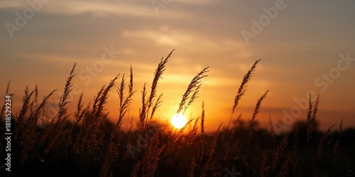 Fototapeta Naklejka Na Ścianę i Meble -  Rosenborg Castle tower beneath a summer sky, surrounded by a garden, featuring brick renaissance architecture, park setting
