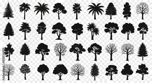 A comprehensive collection of diverse tree silhouettes, showcasing various species and seasonal representations.