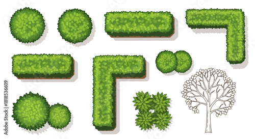 Top-down view of various garden hedge shapes and a bare tree outline, illustrating landscape design elements.