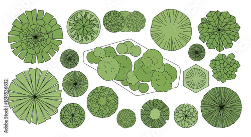 A collection of various green trees and bushes depicted from a top-down perspective, showcasing different shapes and sizes.