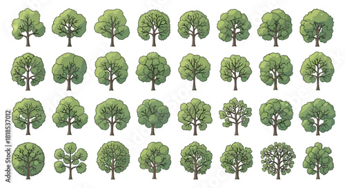 Collection of various cartoon-style deciduous trees with green foliage, isolated on a white background