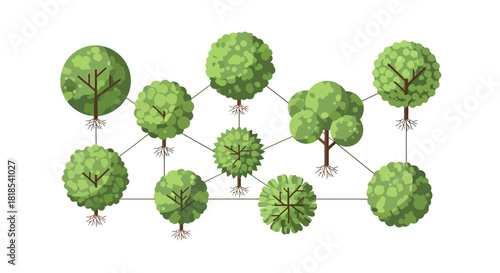 Illustration of a network of trees connected by lines, representing a concept.