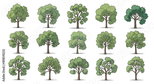 A collection of fifteen stylized illustrations of deciduous trees with green foliage and brown trunks, presented in three rows against a white background.