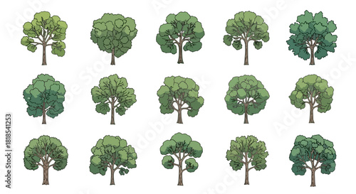 Collection of various detailed illustrations of different green trees with lush foliage and trunks.