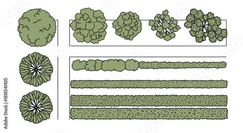 Top-down architectural drawing symbols for various trees and hedges in landscape design.
