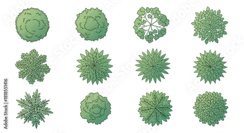 Diverse overhead view tree illustrations, perfect for ecological designs and natural themes