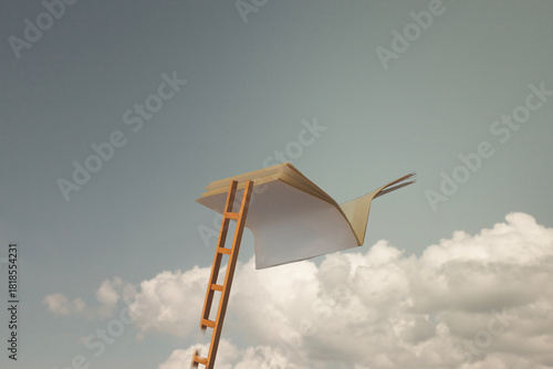A book page opens like a bird with a ladder reaching for it under a cloudy sky.