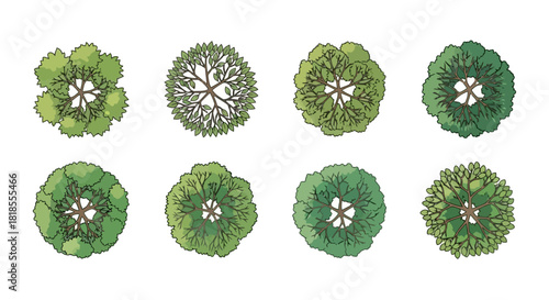 Set of diverse vector tree top views for architectural plans, landscape design, and urban planning. Illustrated overhead elements for maps, garden layouts, and site plan graphics