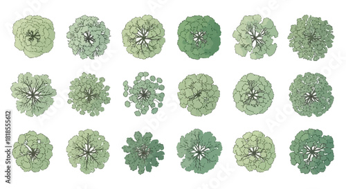Collection of diverse tree top views isolated on a white background, a symbolic representation of forestry and environmental planning