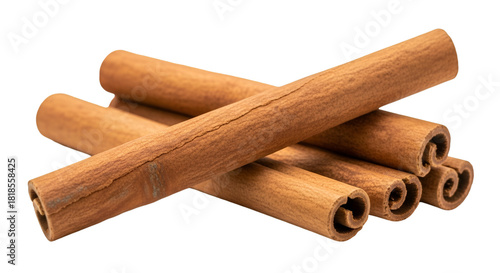 Cinnamon Sticks Stacked on Black Background spice bark