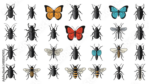 A diverse collection of colorful insect illustrations featuring beetles, butterflies, bees, and flies