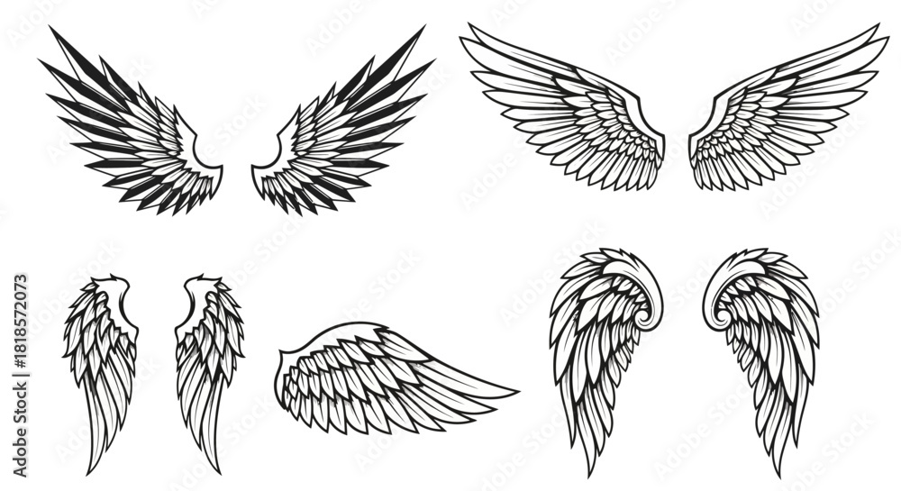 Fototapeta premium Various Stylized Angel Wing Illustrations for Design and Creative Projects