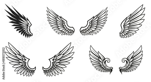Detailed illustration of angel wings in various designs and styles against a white background