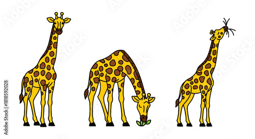 giraffe vector illustration