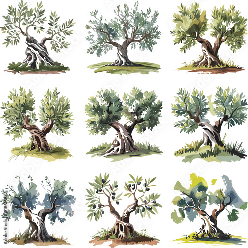 Collection of nine watercolor olive trees with twisted trunks and green leaves nature plant