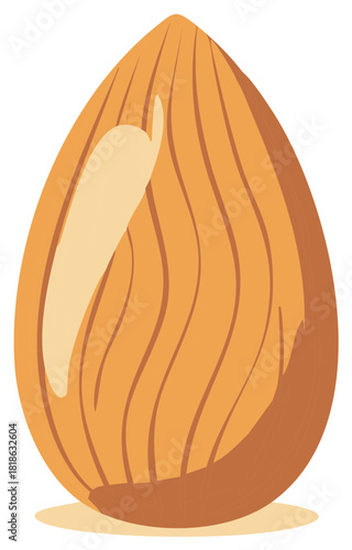 Almond Nut Illustration, Healthy Food Ingredient Close Up Isolated