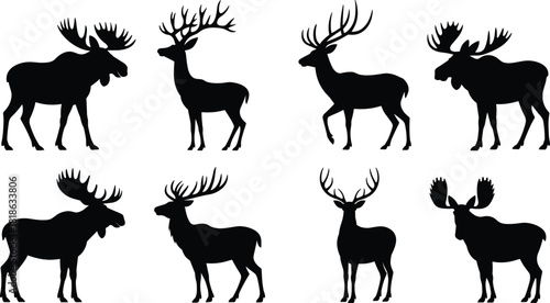 Silhouette Collection of Moose and Deer with Antlers on White Background Keywords: moose, deer, elk, stag, reindeer, animal