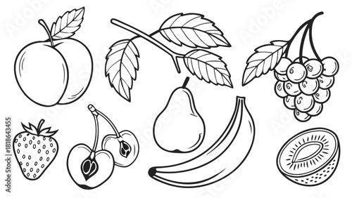 Hand Drawn Fruits Line Art Collection Doodle Sketch for Healthy Eating Web Design Kids Education Food Packaging Vector
