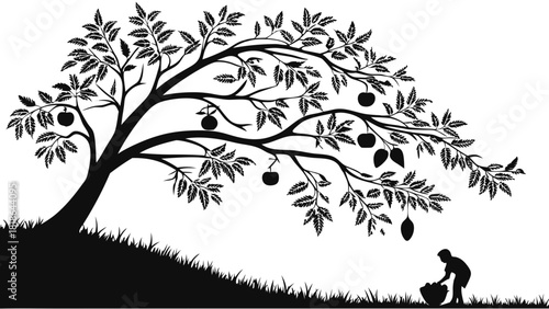 Silhouette of Person Harvesting Fruit from Tree Symbolizing Investment, Growth, and Future Success