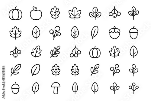 Minimalist set of fall season icons featuring leaves, fruits, and natural elements