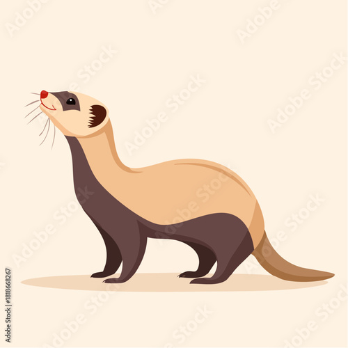 A playful ferret stands on a plain beige background, nose twitching and body slightly arched.