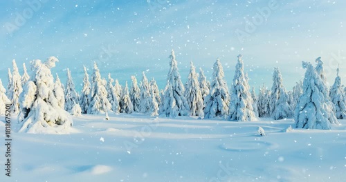 Snowflakes gently falling in slow motion create a peaceful and atmospheric winter scene. Ideal as a winter background or nature-themed visual for motion design and ambient video projects.