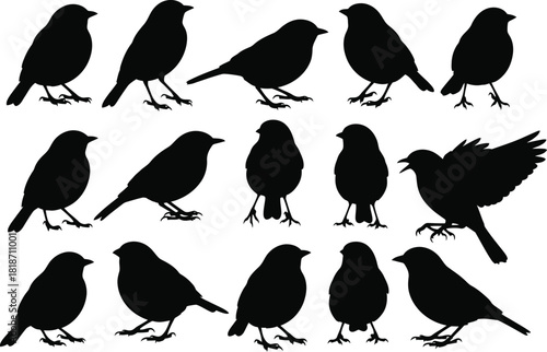 Bird silhouette vector set for graphic design and creative projects black and white bird illustration