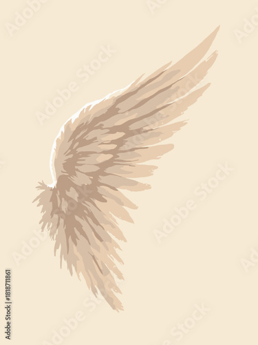 Monoline angel wing fragment, feather strokes, soft bone background