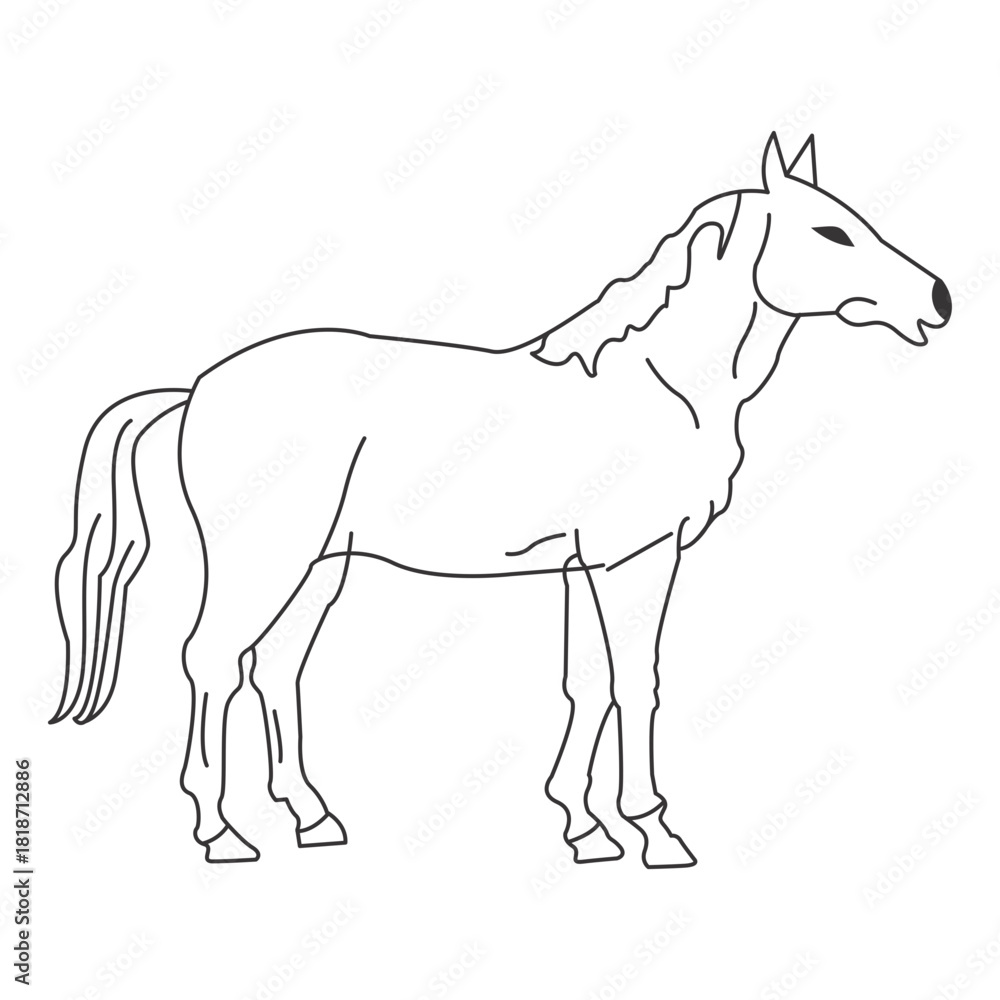 Obraz premium Horse Cartoon Icon