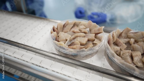 A worker places a container of herring on a production line. Herring production.