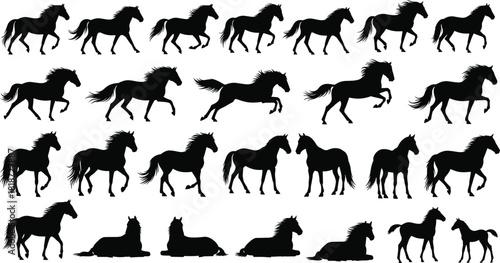 Silhouette horse poses collection featuring running, walking, trotting, standing, and resting horses in dynamic vector illustrations for design and animation use.