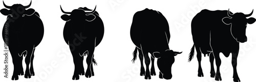 Silhouette illustration of cows walking and grazing, detailed farm animal vector design for agriculture, livestock, rural countryside, and farming themes.
