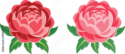 Two peony flowers are depicted in a stylized manner with layered petals and green leaves, set against a white background.