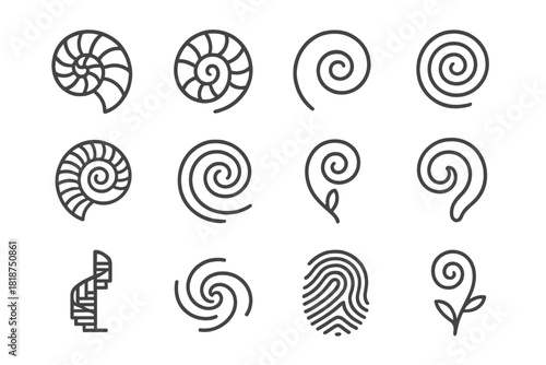 Spiral Icons Collection. Line style icons of spiral forms: nautilus, ammonite, spiral shell, vortex; coiled rope, whirlpool, fern