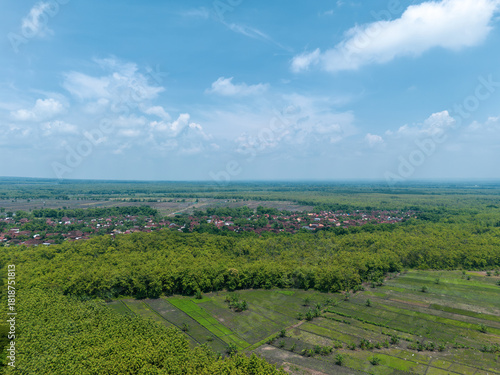 Striking aerial panorama over East Java, Indonesia, showing a traditional red-roofed village nestled between a dense Jati (Teak) forest and vast agricultural fields.