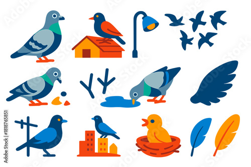 Urban Bird Icons. Flat vector icons of Urban Ornithology: city pigeon, rooftop nest, bird on streetlamp, flock flying, food scraps