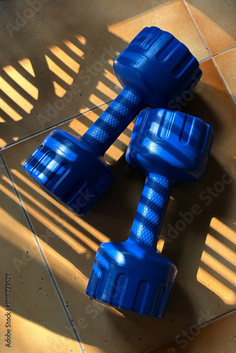 Blue dumbbells on floor with dramatic light and shadows