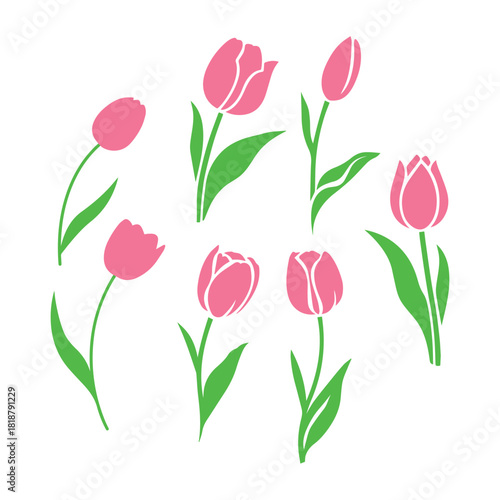 Wallpaper Mural tulip flower set Torontodigital.ca