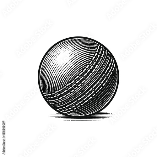 Vintage Cricket Ball Engraving Illustration