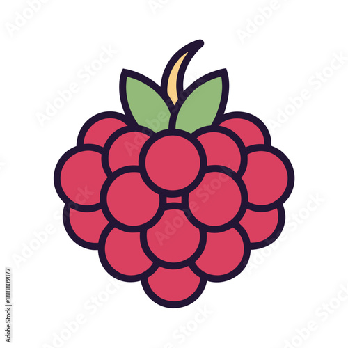 Red raspberry with green leaves and stem fruit pink