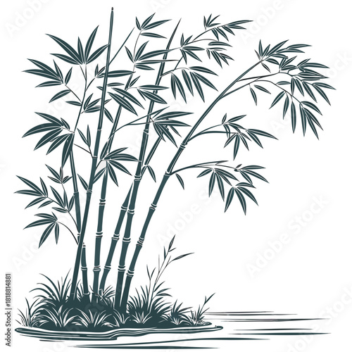 Elegant dark green bamboo stalks with delicate leaves sway gracefully beside a tranquil water reflection