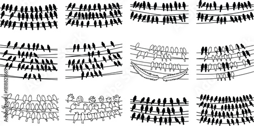 Birds sitting on electrical wires in multiple artistic styles, flock silhouettes and sketches, seamless nature pattern elements for wildlife illustration and design