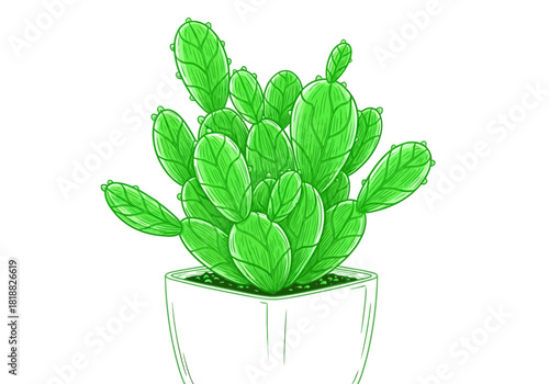 A vibrant green prickly pear cactus plant in a white pot, isolated on a, showcasing its unique paddleshaped leaves and spiky texture, perfect for botanical illustrations and desert themes